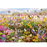 Cobble Hill 1000 Piece Jigsaw Puzzle, Backyard Bird Bath
