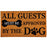 Evergreen All Guests Must be Approved by Dog Non-Slip Coconut Fiber Door Mat