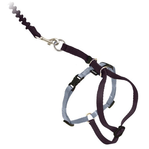 PetSafe Come With Me Kitty Cat Harness & Bungee Leash - Black