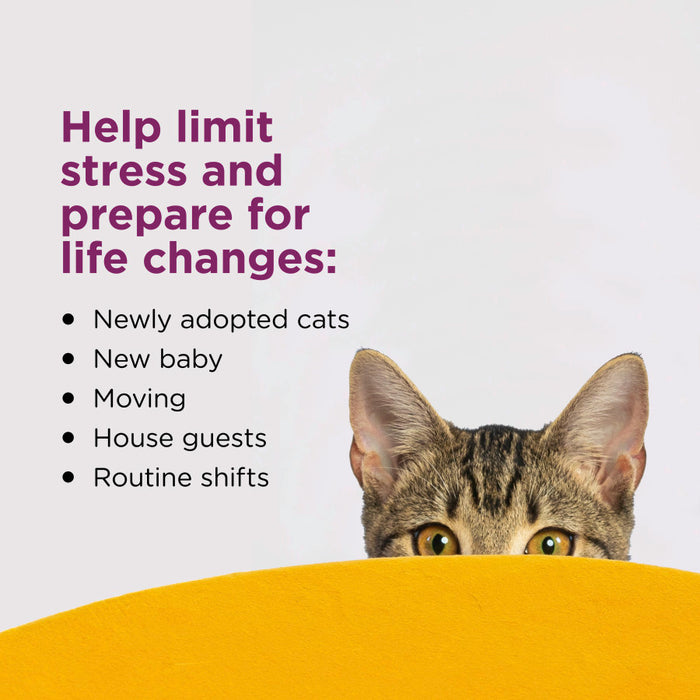 Comfort Zone Calming Pheromone Refill, 1.62 oz. - 2 pack