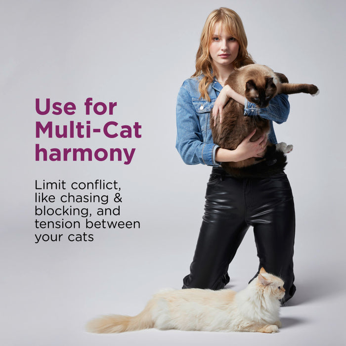 Comfort Zone Multi-Cat Diffuser Kit