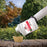 Captain Jack’s Spotted Lanternfly Eliminator 16oz Concentrate