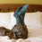 Socks that Protect Beavers