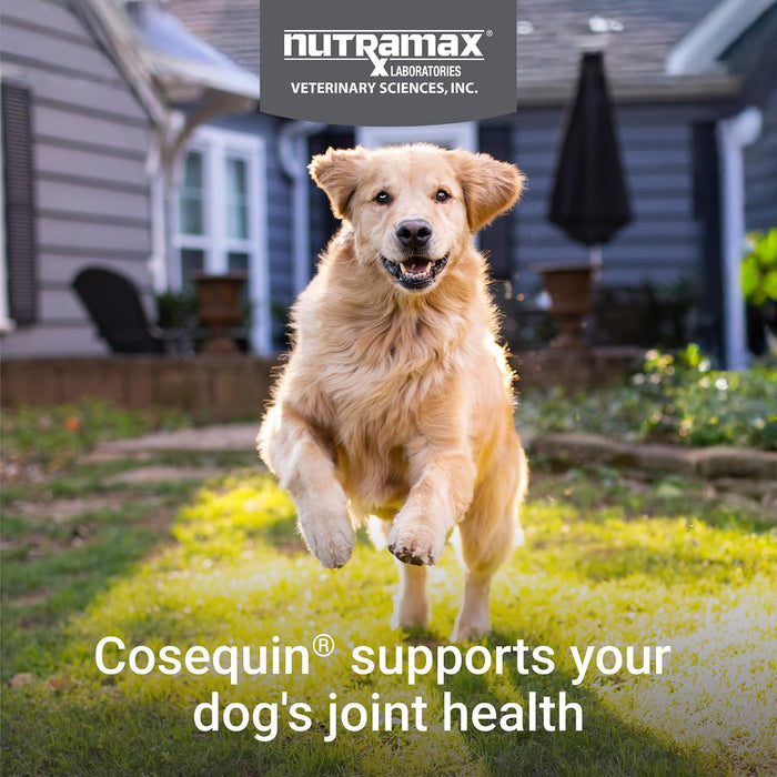 Cosequin® DS Maximum Strength Plus MSM & Boswellia 60 Count Soft Chews