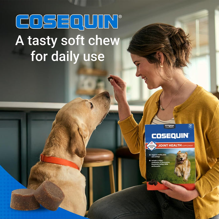 Cosequin® DS Maximum Strength Plus MSM & Boswellia 60 Count Soft Chews