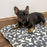 Dog Crate Mat Bed, Dogs Print