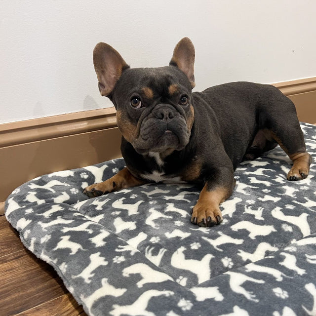 Dog Crate Mat Bed, Dogs Print