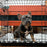 Dog Crate Mat Bed, Dogs Print