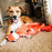 Crimpy Cuddlers Dog Toy, 27 inch, Assorted Styles