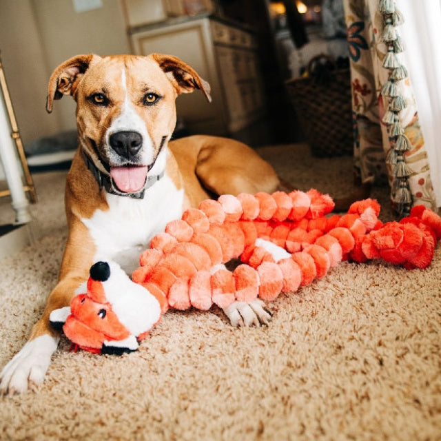 Crimpy Cuddlers Dog Toy, 27 inch, Assorted Styles