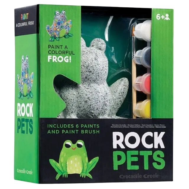 Rock Pets Frog DIY Paint Kit