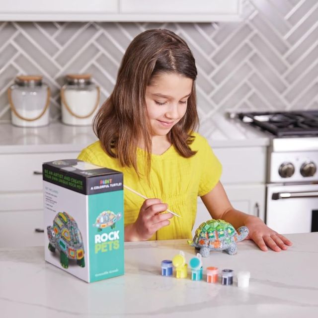 Rock Pets Snail DIY Paint Kit