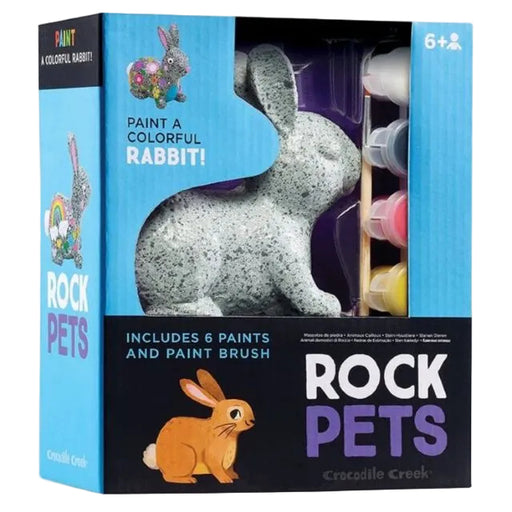 Rock Pets Rabbit DIY Paint Kit