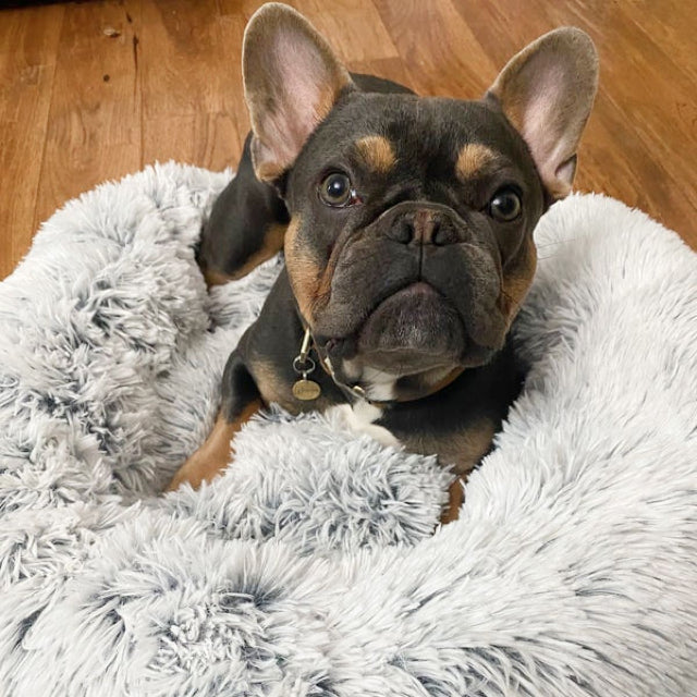 Dream Chaser Cuddle Donut Pet Bed, Gray