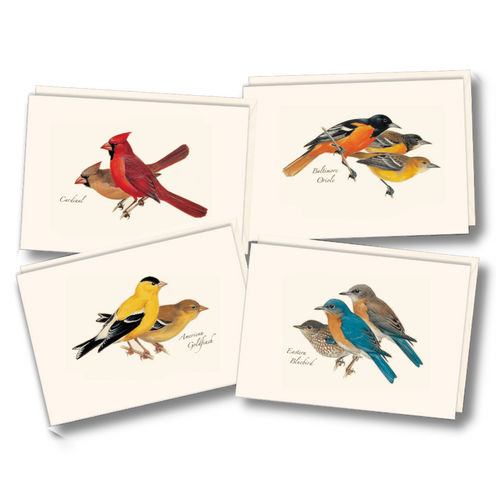 8-Piece Notecard Set: Peterson Bird Assortment