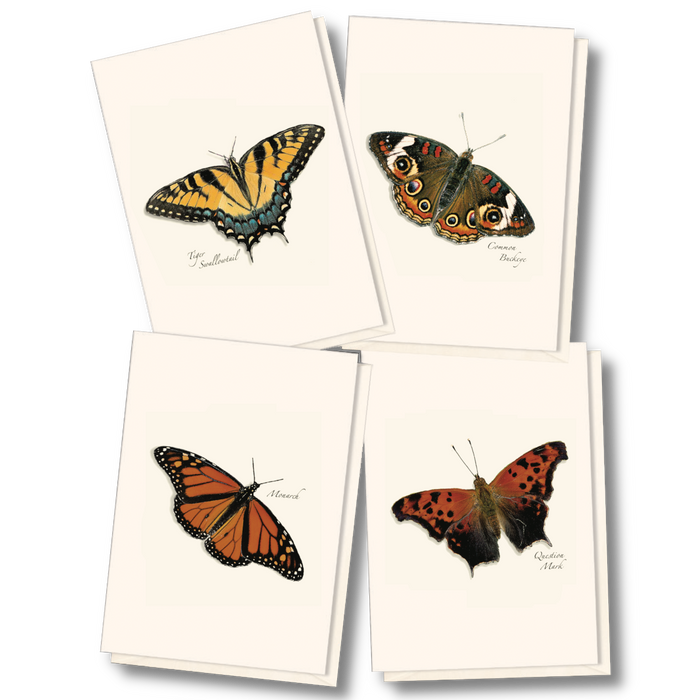 8-Piece Notecard Set: Butterfly Assortment