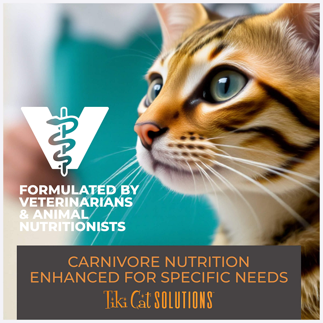 Tiki Cat Solutions Mousse Dental Chicken in Broth Wet Cat Food 2.4oz Pouch