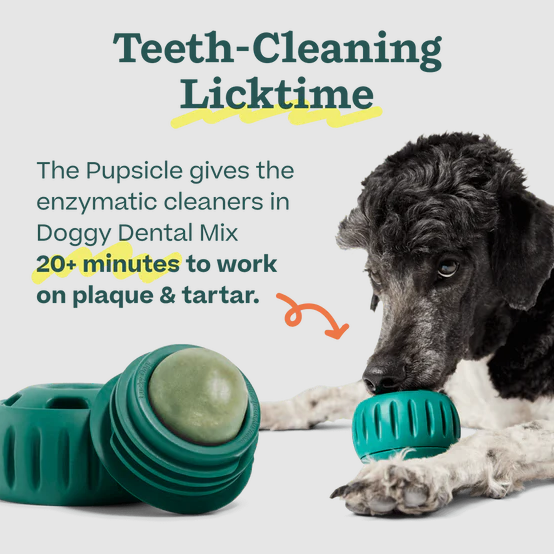 Pupsicle Treat Mix Dental Recipe DIY Lickable Dog Treats 5.5oz