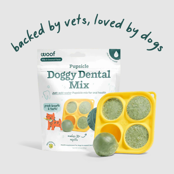 Pupsicle Treat Mix Dental Recipe DIY Lickable Dog Treats 5.5oz