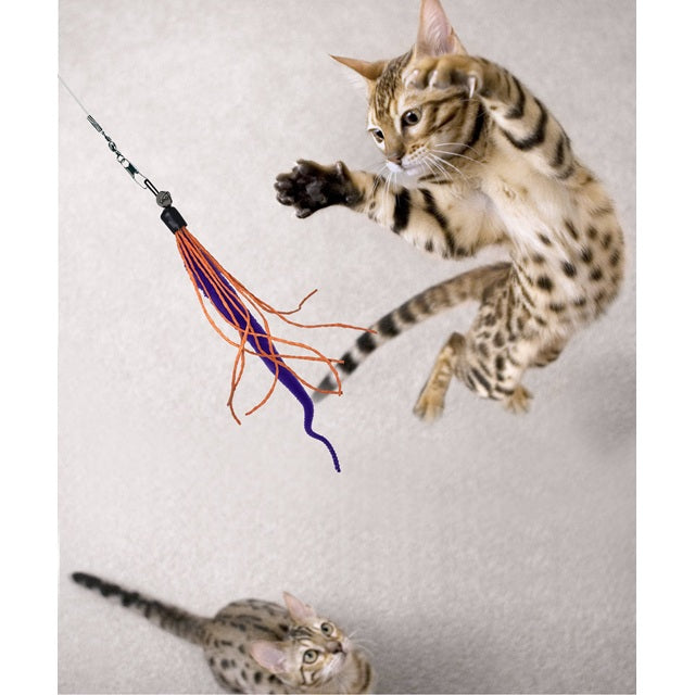 Wiggly Wand Cat Teaser Toy