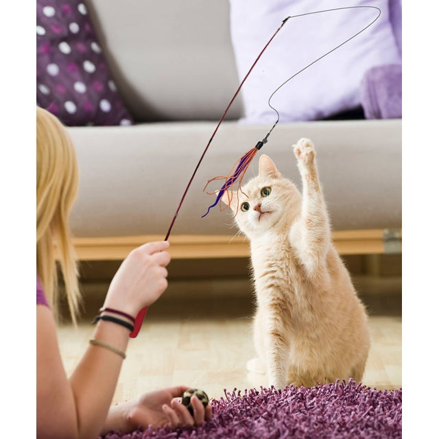 Wiggly Wand Cat Teaser Toy