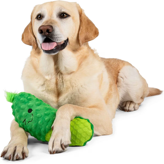 GoDog Tough 'N Texture Dillbert the Pickle Dog Toy