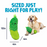 GoDog Tough 'N Texture Dillbert the Pickle Dog Toy