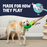 GoDog Tough 'N Texture Dillbert the Pickle Dog Toy