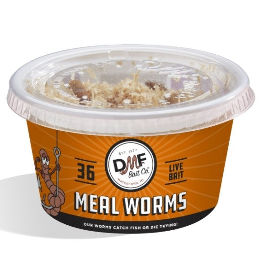 DMF Bait Live Meal Worms 36 Count