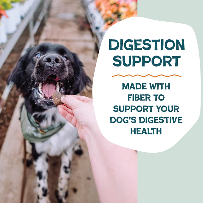 Shameless Pets Soft Pumpkin Nut Partay Soft Baked 6oz