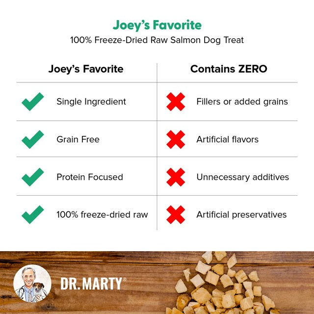 Dr. Marty Joey's Favorite Freeze-Dried Raw Salmon Dog Treat 4-oz.