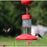 Dr. JBs 16oz Clean Hummingbird Feeder All Red