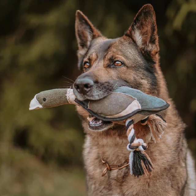 Ruff & Whiskerz Retrieverz Duck Dog Toy
