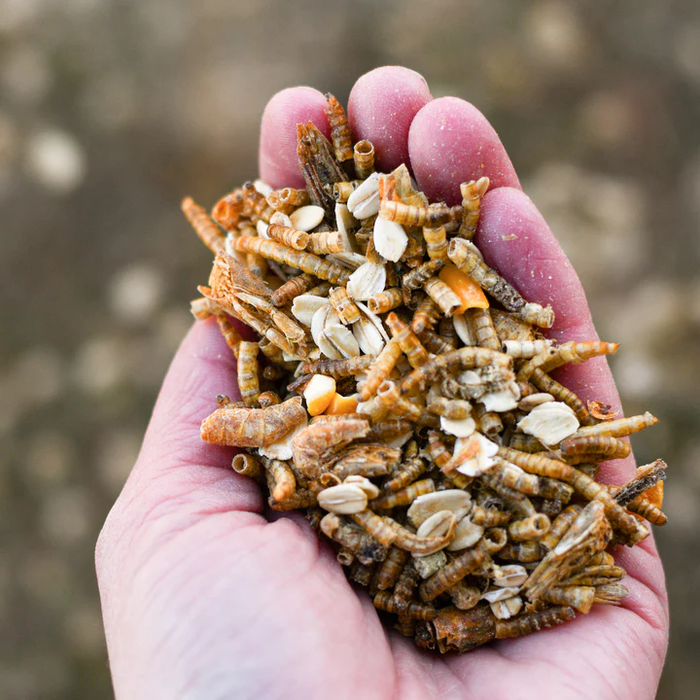 Happy Hen Duck Pond Medley Poultry Treat, 2 lb.