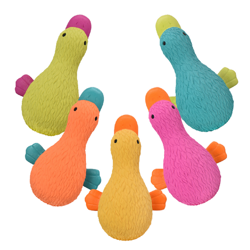 Multipet Latex Duckworth Dog Toy - Assorted Colors