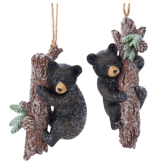 Black Bear Climbing Tree Ornament, Assorted