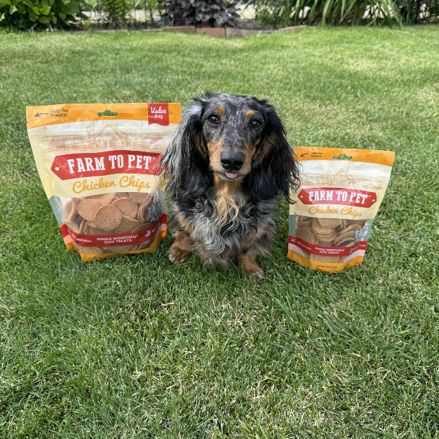 Farm to Pet Chicken Chips Single-Ingredient Dog Treats