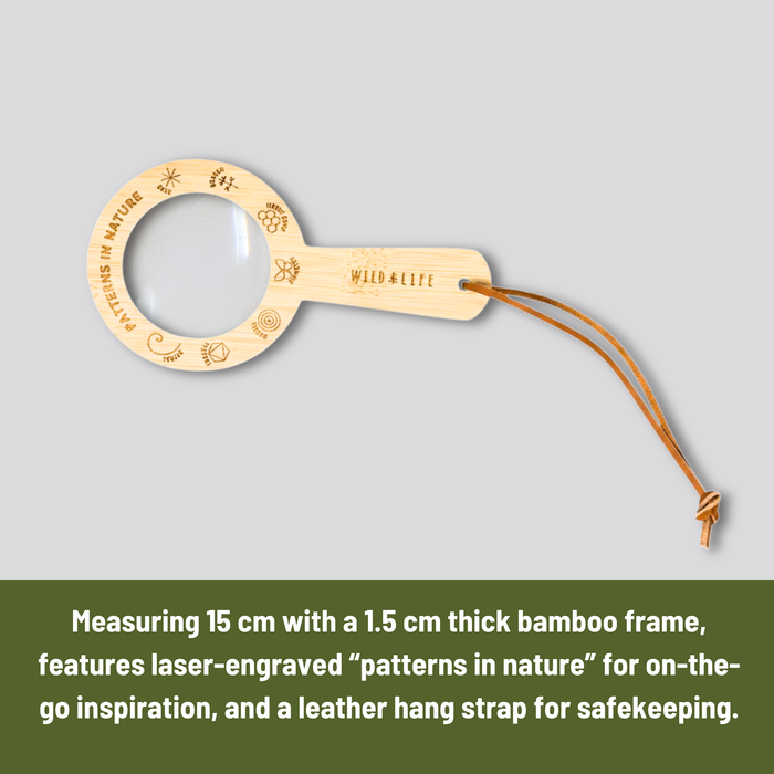 Eye Spy Eco-Bamboo 5x Magnifying Glass