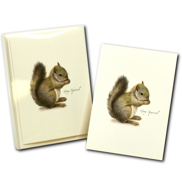 8-Piece Notecard Set: Gray Squirrel