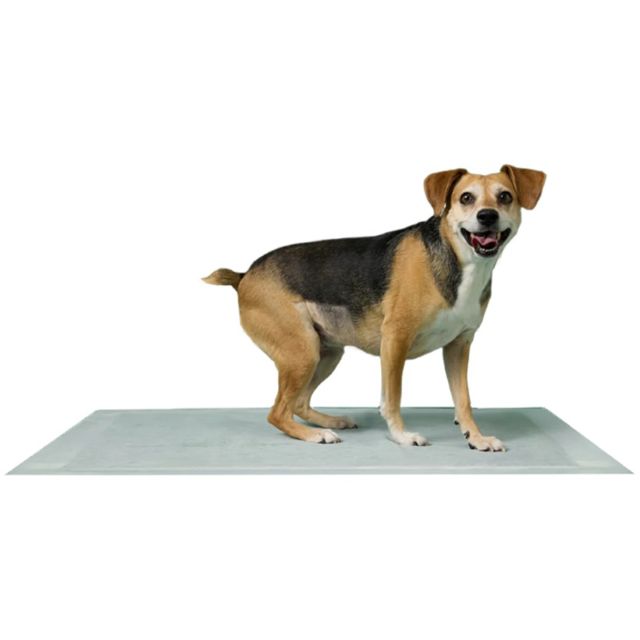 Earth Rated Max Absorbency Leak-Proof Dog Pee Pads, X-Large (28" x 34")