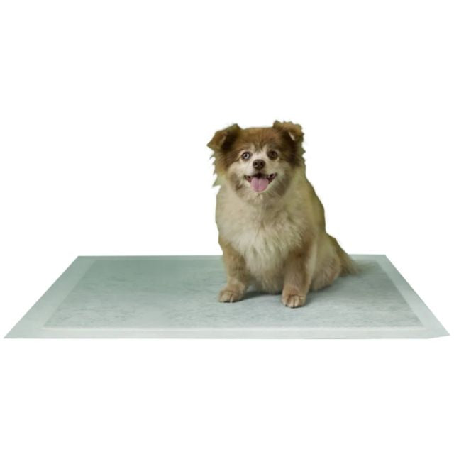 Earth Rated Max Absorbency Leak-Proof Dog Pee Pads, Large (22" x 23")