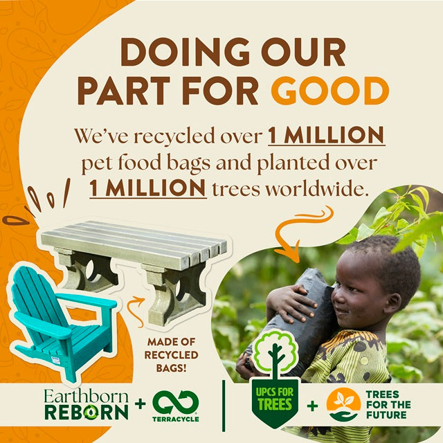 Earthborn Holistic Great Plains Feast Bison Meal & Vegetables Grain-Free Dry Dog Food 25-lb