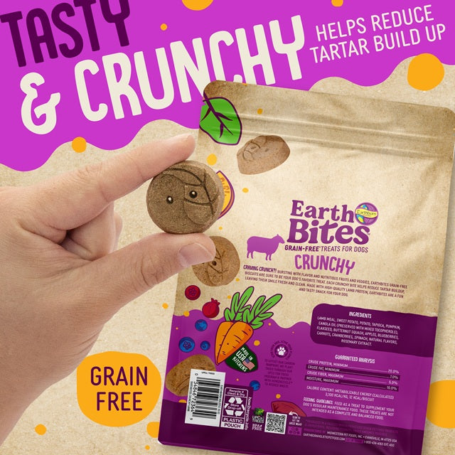 Earthborn Holistic EarthBites Lamb Protein Crunchy Dog Treats 2 Lbs.
