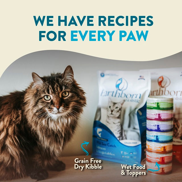 Earthborn Holistic Wild Sea Catch Grain Free Salmon & Vegetables Indoor Formula Cat Food