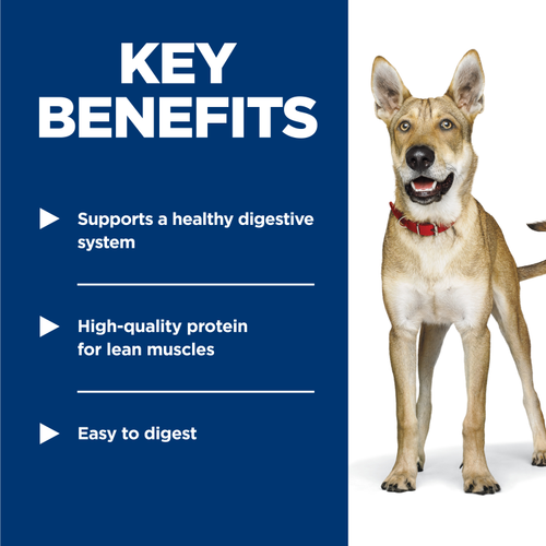 Science Diet Adult Stew Beef 12.8oz Can