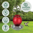 EcoCycle™ Crimson Comb Recycled Glass Hummingbird Feeder