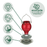 EcoCycle™ Crimson Comb Recycled Glass Hummingbird Feeder