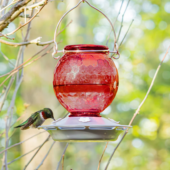 EcoCycle™ Crimson Comb Recycled Glass Hummingbird Feeder