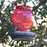 EcoCycle™ Crimson Comb Recycled Glass Hummingbird Feeder