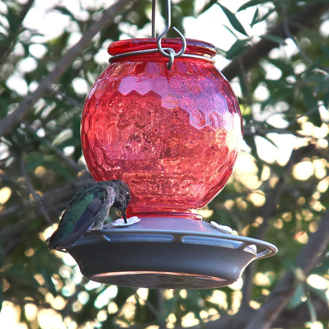 EcoCycle™ Crimson Comb Recycled Glass Hummingbird Feeder